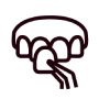 Stephens General Dentistry - Dentist