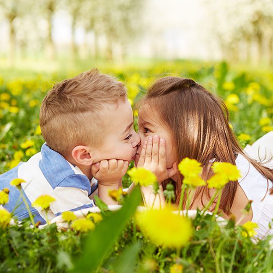 Stephens General Dentistry -